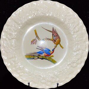 Alfred Meakin Birds of America White Passenger Pigeon Flycatcher Plate # 62